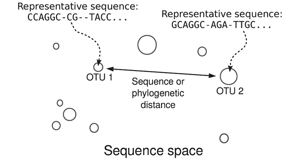 Основные данные, которые использовались в работе