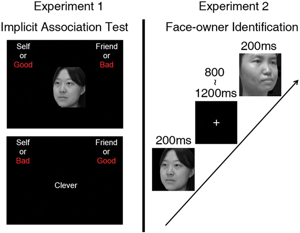 Эксперименты, демонстрирующие разницу в самооценке на фоне других людей (друзей)