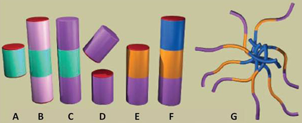 Пошаговое конструирование нецентросимметричных наноцилиндров самосборкой полимеров в растворе