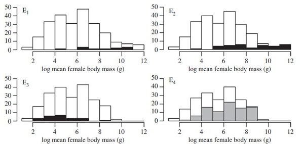 Распределение частот встречаемости видов птиц Новой Зеландии с разной массой тела, меняющееся со временем