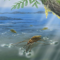 Художественная реконструкция, на которой показаны спаривающиеся меловые водомерки Burmogerris rarus в затопленном янтарном лесу