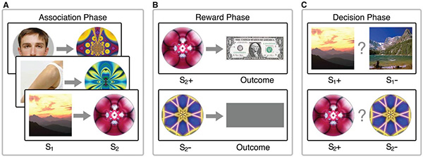 какая часть мозга отвечает за принятие решений. Смотреть фото какая часть мозга отвечает за принятие решений. Смотреть картинку какая часть мозга отвечает за принятие решений. Картинка про какая часть мозга отвечает за принятие решений. Фото какая часть мозга отвечает за принятие решений какая часть мозга отвечает за принятие решений. Смотреть фото какая часть мозга отвечает за принятие решений. Смотреть картинку какая часть мозга отвечает за принятие решений. Картинка про какая часть мозга отвечает за принятие решений. Фото какая часть мозга отвечает за принятие решений