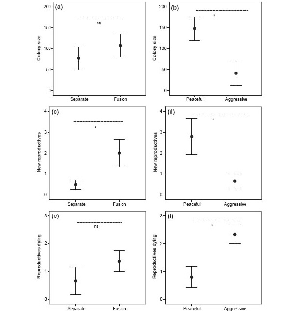 Рис. 2. Результаты полевых экспериментов по объединению неродственных колоний