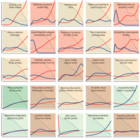Рис. 1. Динамика старения у разных организмов