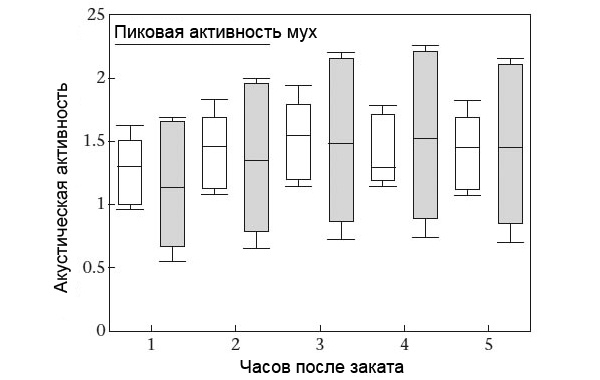 Акустическая активность самцов G. lineaticeps из популяций с низким и высоким риском заражаемости паразитом в течение пяти часов после захода солнца