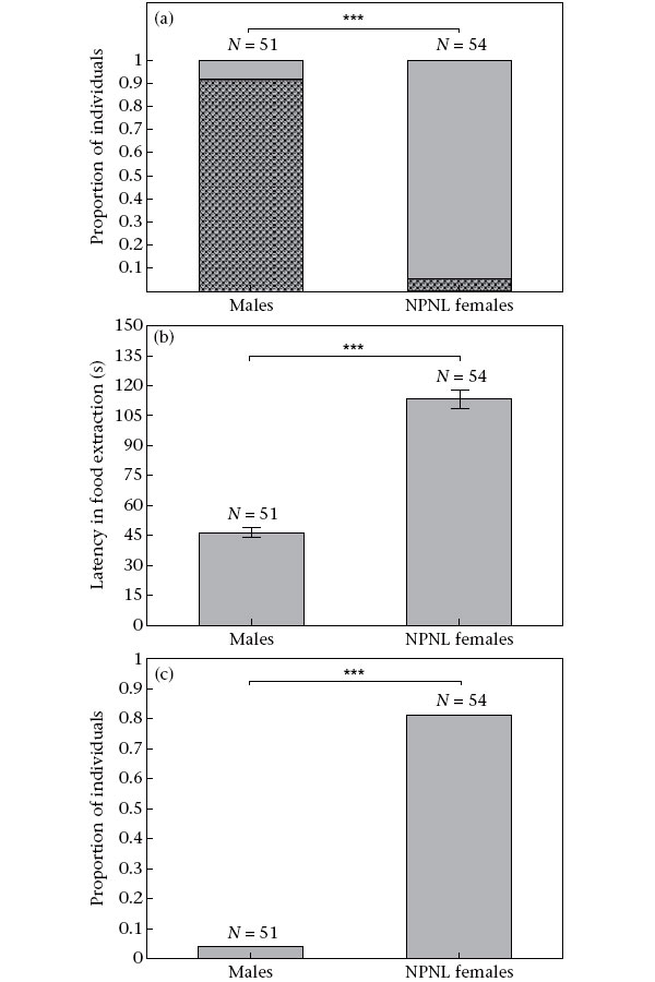 Рис. 3. Пищевое поведение собак в первой серии экспериментов (с бумажными пакетами)