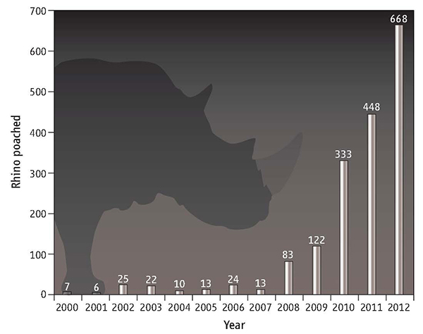 Гибель носорогов от рук браконьеров в ЮАР с 2000-го по 2012 год