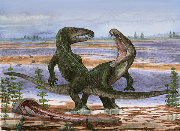 Рис. 1. Один из самых древних архозавров — Archosaurus rossicus, открытый академиком Л. П. Татариновым