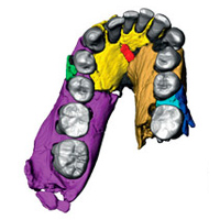 <b>Рис. 1.</b> Найден фрагмент челюсти древнейшего представителя человеческого рода