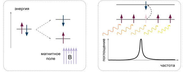 Принцип ЯМР-метода