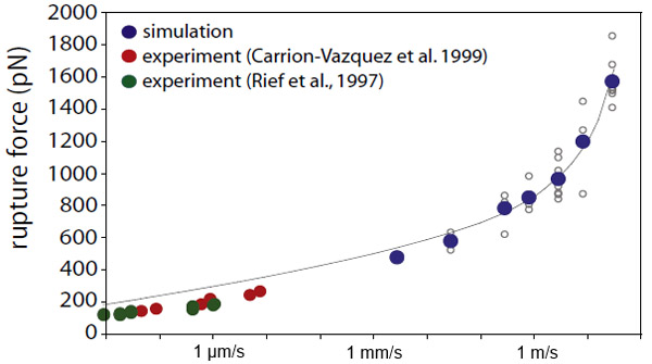Сравнение экспериментальных данных и результатов моделирования по состоянию на 2009 год