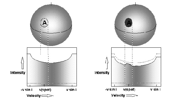 Схематическое изображение влияния звездных пятен на вид линии поглощения в спектре звезды