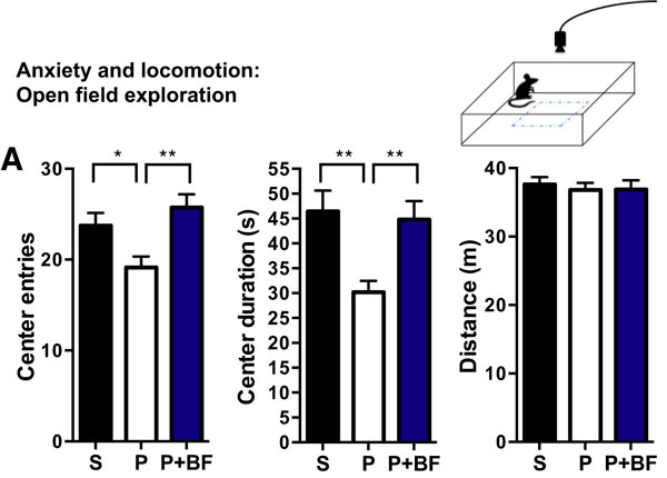 Тест на тревожность