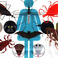 Переносчики инфекционных заболеваний человека