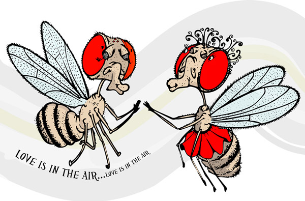 Love is in the air...