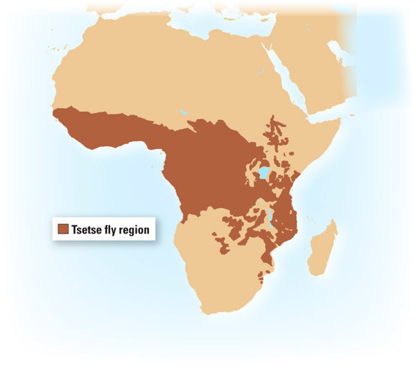 Область распространения мухи цеце