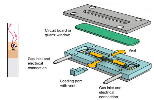 Рис. 2. Экспериментальная камера и трек мухи