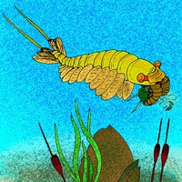 Путь к разгадке Кембрийского взрыва