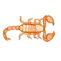 Эволюционное древо членистоногих