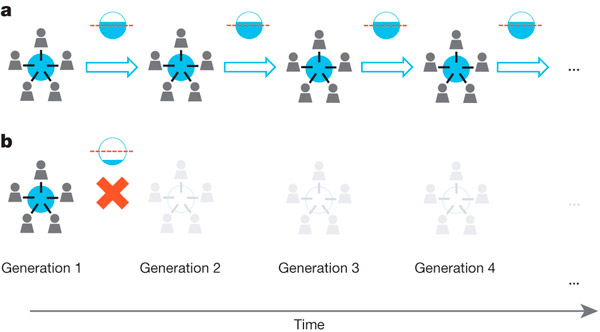 Схема правил игры