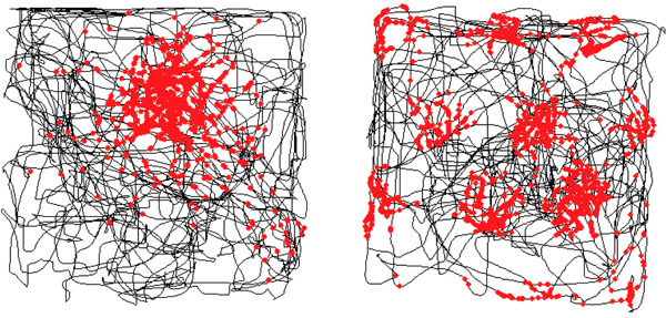 Рис. 1. Области возбуждения клеток места и решетчатых нейронов
