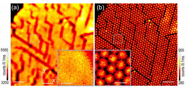 Рис. 3. Фотография одного и того же объекта конфокальным микроскопом и STED-системой