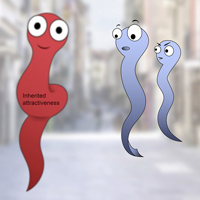 Графическое резюме обсуждаемой статьи