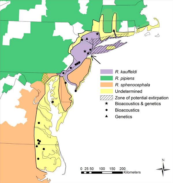 Рис. 3. Ареалы трех близких видов леопардовых лягушек на атлантическом побережье США