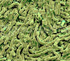 <b>Рис. 1.</b> Бактерии Bacillus thuringiensis
