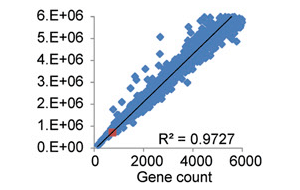 Отношение числа генов (ось абсцисс) к размеру генома (ось ординат) у известных микроорганизмов: красной точкой обозначена ТМ7 с геномом в 705 тысяч пар оснований