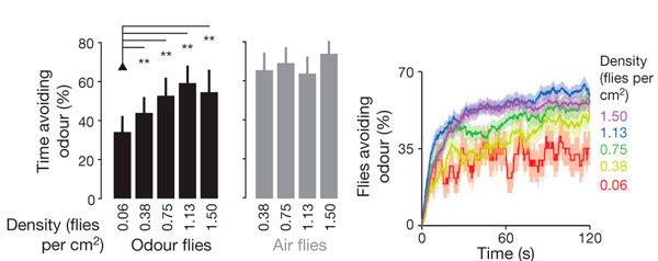 Рис. 3. Зависимость реакции на запах от числа мух