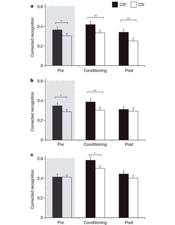 Рис. 2. Запоминание испытуемыми картинок в зависимости от категории картинки