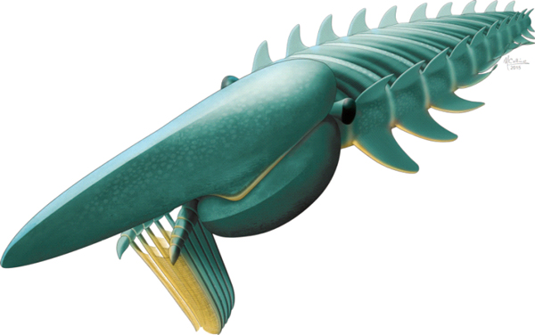 Рис. 1. Реконструкция Aegirocassis benmoulae. У найденных экземпляров глаза не сохранились, поэтому их размер и форма «додуманы» на основе данных по другим аномалокаридам