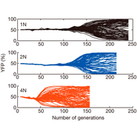 <b>Рис. 1.</b> Схема эксперимента