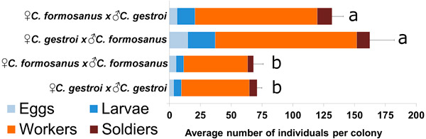 Рис. 3. Численность колоний термитов