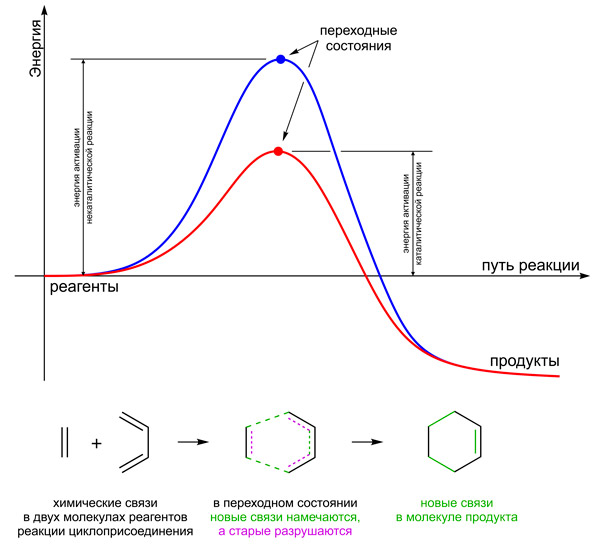 <b>Рис. 1.</b> Энергия реагентов в каталитической и некаталитической реакциях