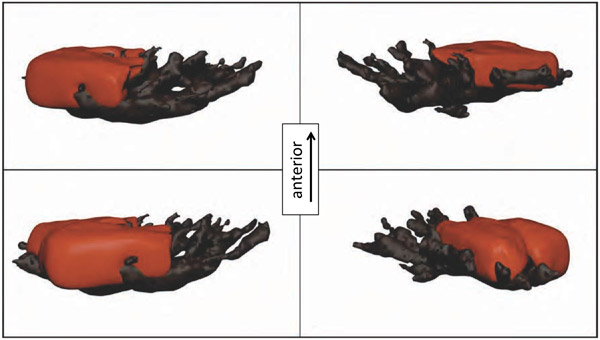Рис. 5. Трехмерная модель