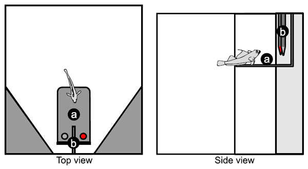 Рис. 6. Дизайн экспериментов