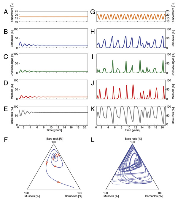 Рис. 4. Динамика изменения состава сообщества в «модели занятия мест»