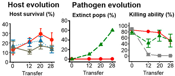 Рис. 4. Результаты экспериментальной эволюции
