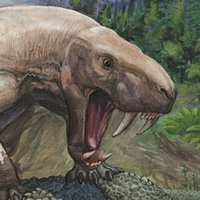 Иностранцевия