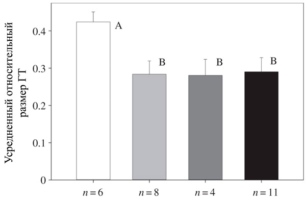 Рис. 3. Размер грибовидных тел (ГТ) у ос с разной социальной организацией