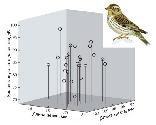 Рис. 1. Связь громкости пения и размеров тела у каменного воробья