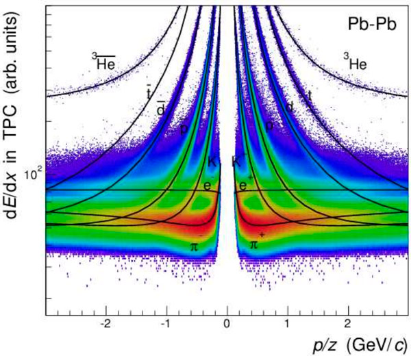 Рис. 1. Энерговыделение частицы на единицу длины траектории в зависимости от ее импульса