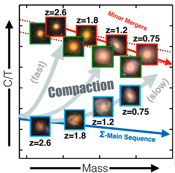 Рис. 5. Общее направление эволюции галактик