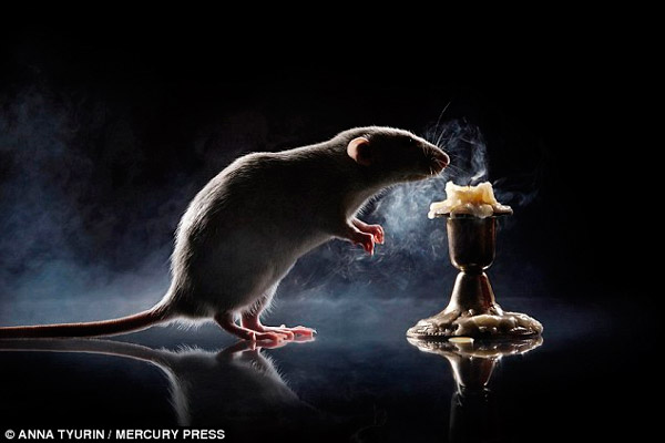 Рис. 1. Глубокий вздох крысы