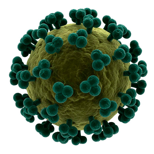 Рис. 1. Модель вируса иммунодефицита человека