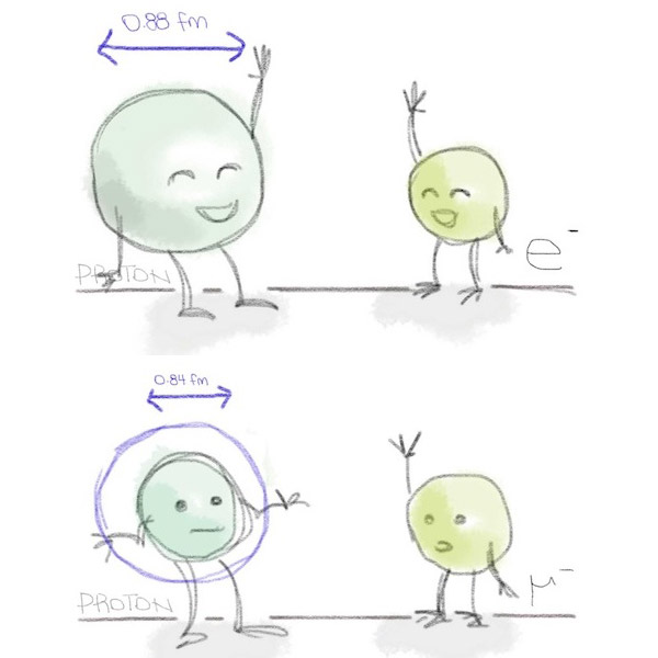 Рис. 2. Загадка протонного радиуса: измерение одной и той же величины в обычном и в мюонном водороде дает разные результаты