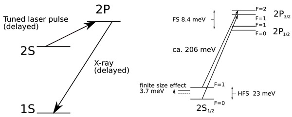 Рис. 8. Лазерный переброс мюона с уровня 2S на 2P с целью измерения лэмбовского сдвига