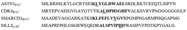 Рис. 2. Фрагменты аминокислотных последовательностей четырех мутантных белков раковой опухоли